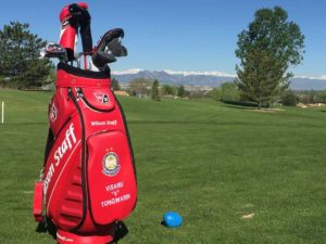 Golf Bag - 14 Clubs